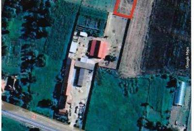 Teren de 1124 mp, în Băcia - 2