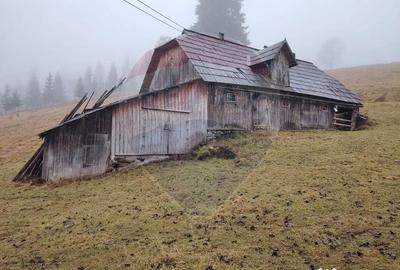 Teren de 26232 mp, în Dorna-Arini - 1