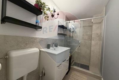Apartament cu 2 camere decomandat, mobilat în 13 Septembrie - 8