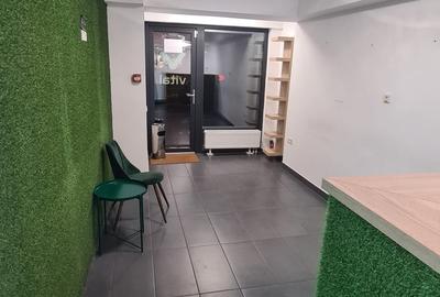 Spatiu comercial Baba Novac - Stradal - 3