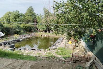 Casa de vacan?a cu helesteu 180mp utili, 975mp teren Ulmi - 1