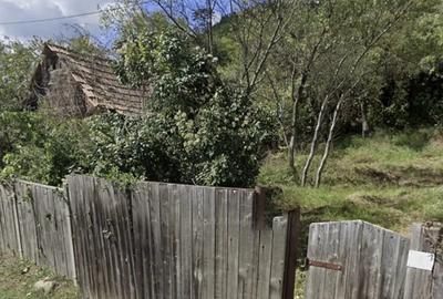 Casă cu 2 camere cu Teren 762 Mp în Blandiana - 6