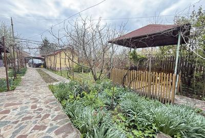 Snagov Izvorani casa locuibila cu livada de pomi fructiferi - 6