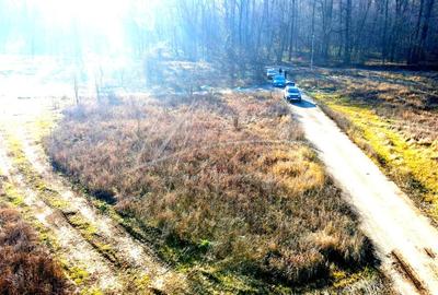 Teren intravilan, 2 fronturi, Drumul Padurea Pustnicu 65 - Greenfield - 23