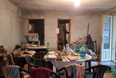 Casa de vanzare in satul Odvos (comuna Conop) - 11