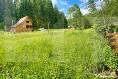 Casă cu 5 camere cu Teren 2237 Mp în Horea - 3