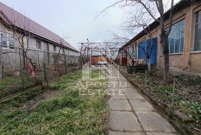 Casa demolabila cu teren 1980mp, toate utilitatile, front 19m, Sacalaz - 4