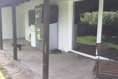 Proprietar ofera casa de vanzare ?i spa?iu comercial - 9