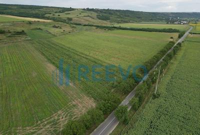 Teren de 4.400 mp Racova - 7