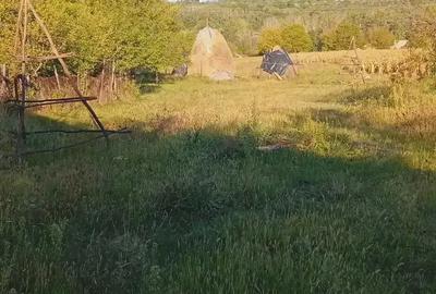 Casă cu 4 camere în Poienari (Poienarii de Argeș) - 6