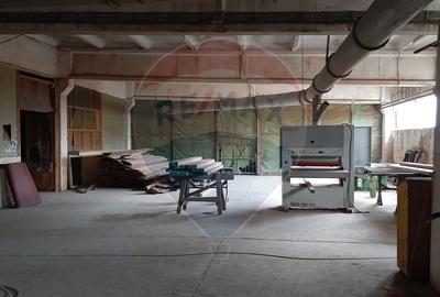 Spațiu industrial, de 6,045 mp, în Mihai Bravu - 8