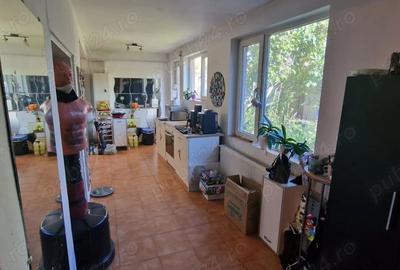 Vand casa Bucurestii Noi - 8