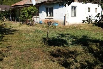 Casa de vanzare jibou - 2