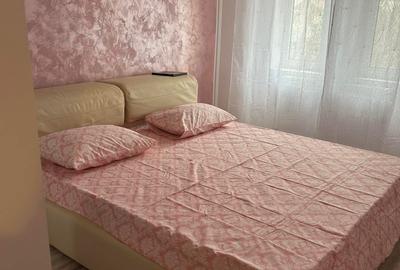 Apartament 2 camere Spiri Haret vilute - 3
