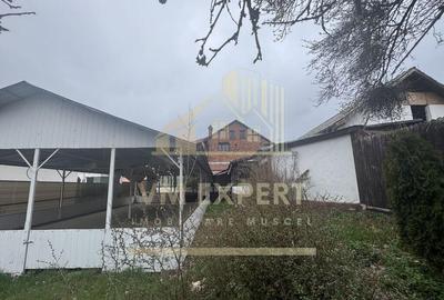 SPATIU COMERCIAL CAMPULUNG ZONA CENTRALA - 10