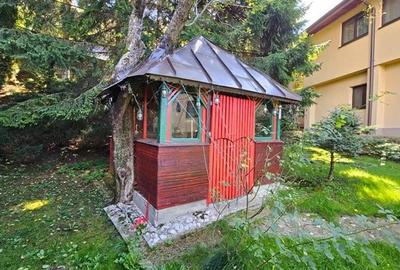 Tur LIVE!Casa cu arhitectura traditionala, curte spatioasa,foisor,Rucar. Bran - 9