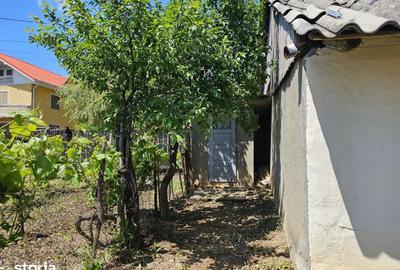 Casă cu 3 camere cu Teren 1330 Mp în Păunești - 20