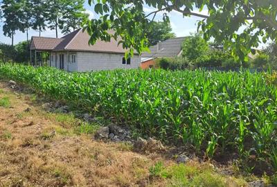 Casă cu 2 camere în Mereni - 1