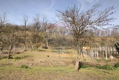 Casă cu 2 camere cu Teren 775 Mp în Păucea - 4