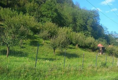Teren de 7000 mp, în Voia - 5