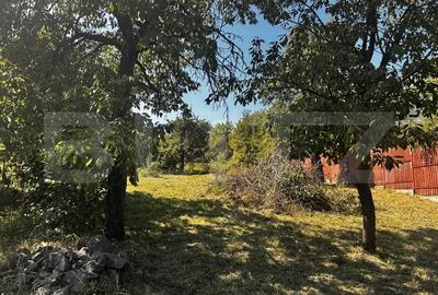 Casa veche cu teren in zona ultracentrala in suprafata de 1263 mp - 8
