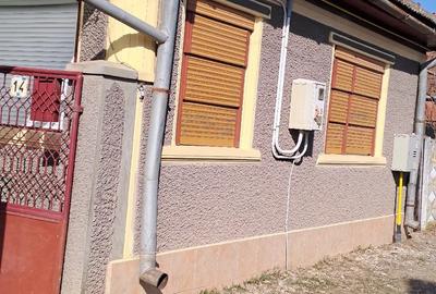 Casă cu Teren 700 Mp în Teiu - 3