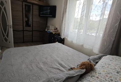 Apartament de vanzare, cu 1 camera, 22 mp, zona Bl. Unirii - 4