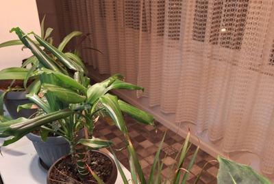 2 camere | decomandat | 150 m Metrou Gorjului - 8