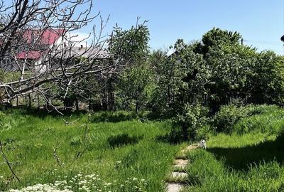 Spațiu comercial, în Oreavul - 7