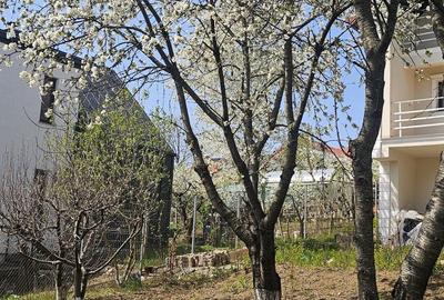 Casă cu 4 camere în Vișan - 5