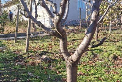 Casa...sat.Chiraftei.....com.Mastacani...jud.Galati - 8