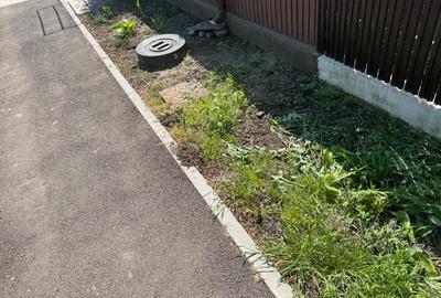 Casa veche si teren generos Bailesti - 2