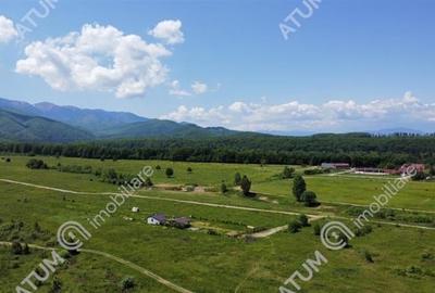 Teren intravilan 1000 mp de vanzare pe Valea Avriguluiu - 3