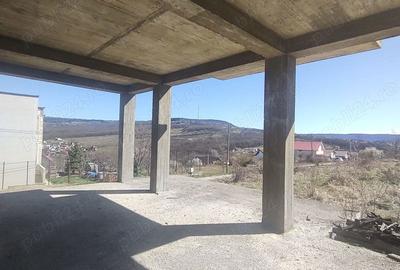 Teren de 3230 mp, în Vișani - 9