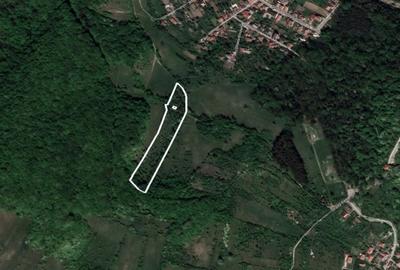 Teren Construcții intravilan de 9100 mp, în Viile Noi - 9