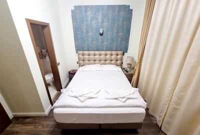 Vila -Hotel Boutique |7 Cam 7 Bai receptie Curte | Mosilor - Obor - 12