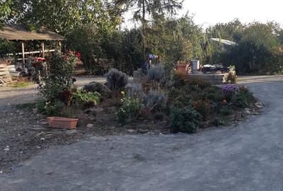 Casă cu 2 camere în Nuntași - 3