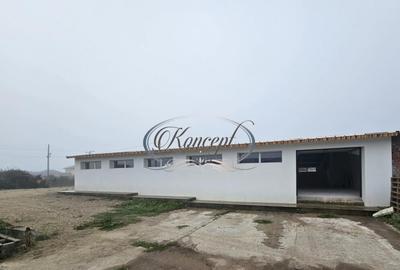 Hala la prima inchiriere, izolata termic, disponibila imedia - 12