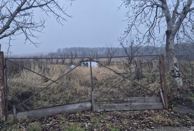 Spațiu comercial, în Dobreni - 3