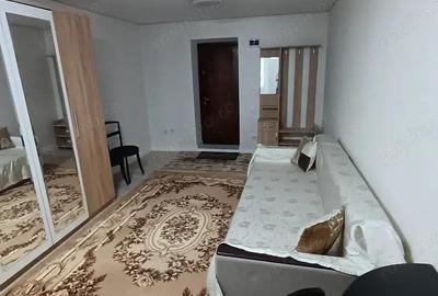 Apartament cu o camera de inchiriat in zona Aurel Vlaicu - 3
