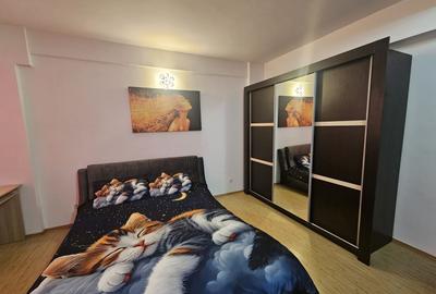 Apartament cu 2 camere decomandat în Nord - 13