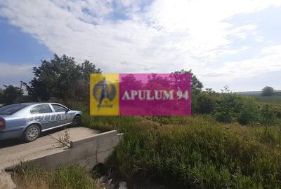 Teren perfect pentru deschiderea unei afaceri lângă București - 9