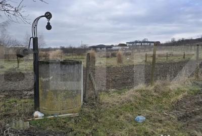 Teren de 1996 mp, în Viile Satu Mare - 1