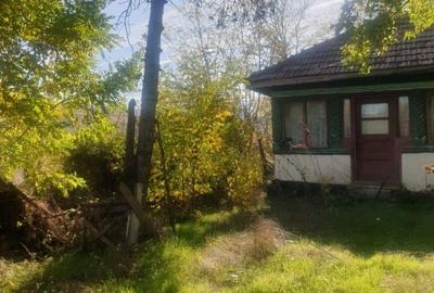 Teren intravilan si extravilan 4000 m2 Jud Buzau - 3