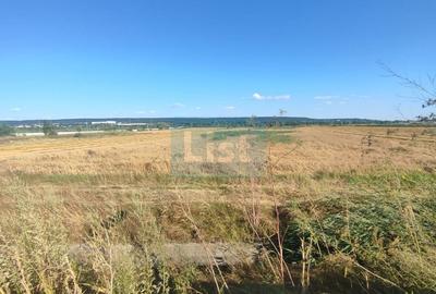 Teren Construcții intravilan de 6000 mp, în Micești - 6