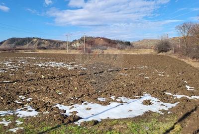 Teren Construcții intravilan de 15938 mp, în Nord-Vest - 3