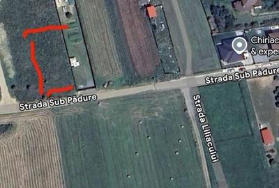 Teren de 1160 mp, în Gilău
