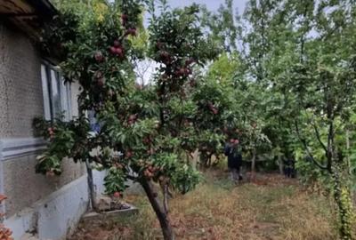Casă cu 4 camere cu Teren 2700 Mp în Năeni - 1