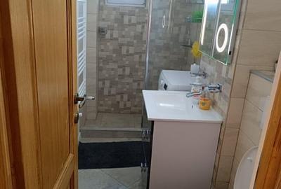 Apartament 2 camere - Mobilat si utilat - 4