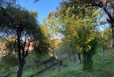 Sacele, casa, teren 1700 mp,150000 euro - 3